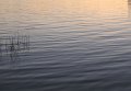lake sunset